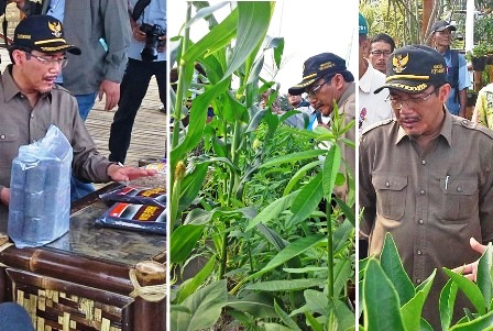 Suswono Dorong Petani Tingkatkan Nilai Tambah Hadapi MEA 2015